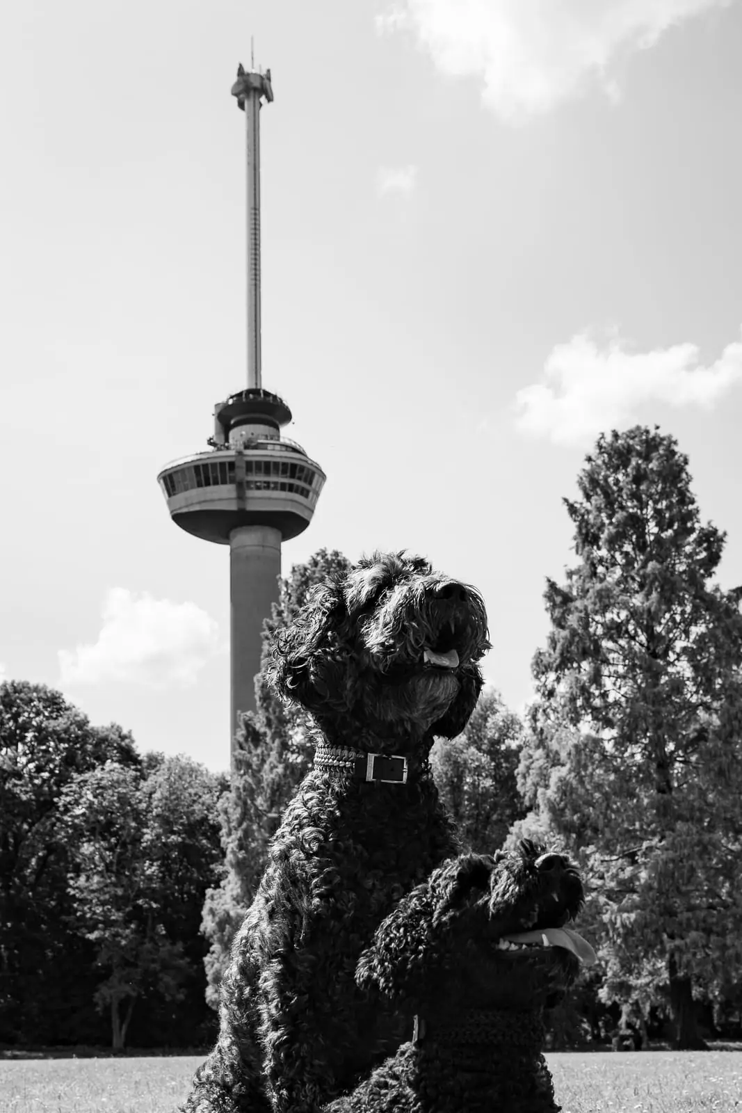 De Euromast in Rotterdam